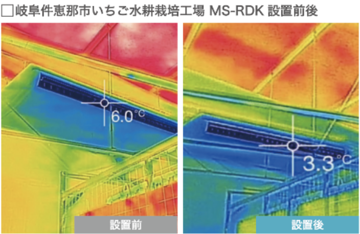 岐阜県恵那市いちご水耕栽培工場 MS-RDK設置前後のサーモグラフィ画像